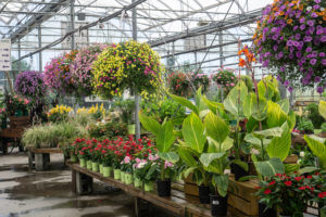 Garden Centre with Hanging Baskets In Spring